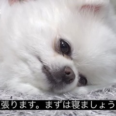 友達募集！