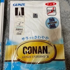 GUNZE　半ズボン下(前あき)下着　Mの画像
