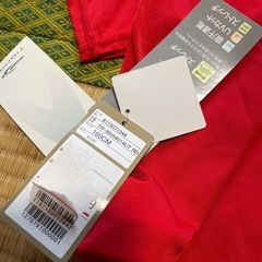 赤TIGORA160の画像