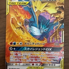 極美品　ファイヤー&サンダー&フリーザーGX