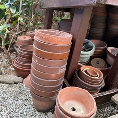 植木鉢　色々の画像