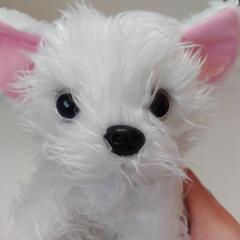 おかえりワンちゃん