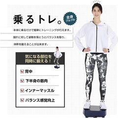 (中古) アルインコ（ALINCO）振動マシン（リモコンと説明書付き）の画像