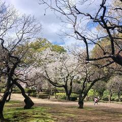 無料の英会話！ - メンバー募集