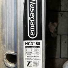 3連ハシゴ　長谷川工業の画像