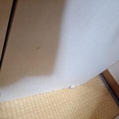 棚の画像