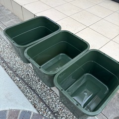 タライ　