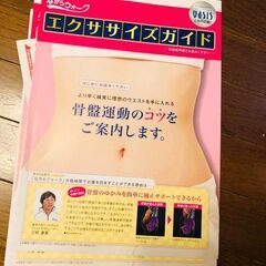 ショップチャンネルでつい購入した「ながらウオォーク」１台の画像