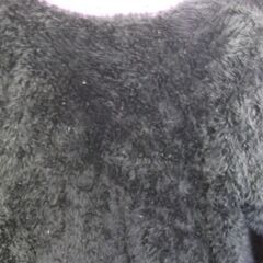 チャンピオン　上着　Lサイズの画像