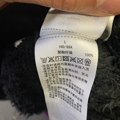 チャンピオン　上着　Lサイズの画像