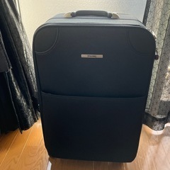 キャリーバッグ