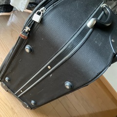 キャリーバッグの画像