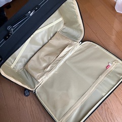 キャリーバッグの画像