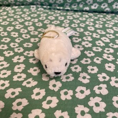 ⭐︎NEW アザラシぬいぐるみ⭐︎