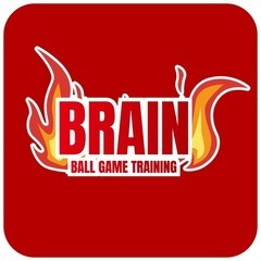 大阪市の野球教室BRAIN 🧠の画像