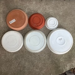 受け皿六枚の画像