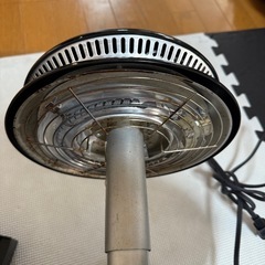 ザイグルの画像