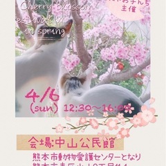🌸春の🌸保護猫🐈‍⬛ふれあい譲渡会☘️🐈中山公民館