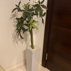 フェイクグリーン　パキラ　人工観葉植物の画像