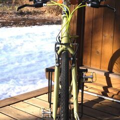 【お年玉セール特価】 限定色】GIANT 甲斐小泉 (Naka) LlIMITEDモスグリーン R3 ESCAPE 自転車本体