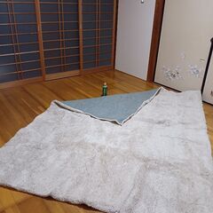 カーペット ★ 無料０円