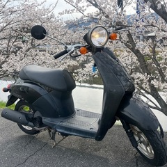 【売約済】実働 BT新品 バリ溝 ホンダ AF61 トゥデイ 4スト 原付 バイク スクーター ブラックの画像