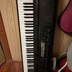 Casio WK-500