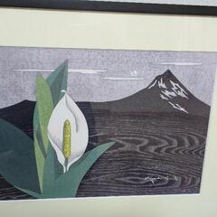ミズバショウ　版画複製