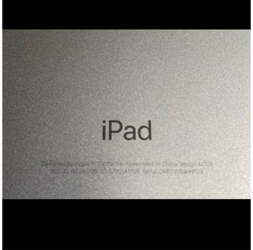iPad Pro 10.5 インチWi-Fi + Cellular 256GB