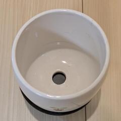 小さな植木鉢、水受け皿つきの画像