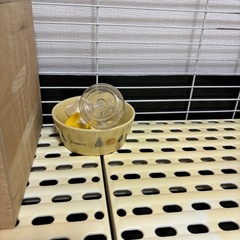 うさぎゲージセットの画像