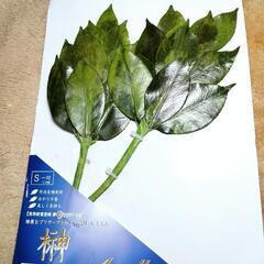 プリザーブド 榊の画像