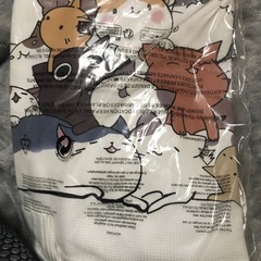 猫T