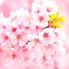 4月12日(土) カラオケ会🎤