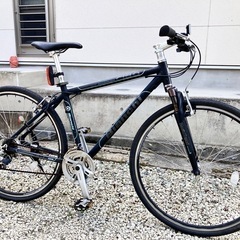Bianchi CIELO size M　3×8速　700×35c