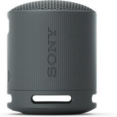 SONY XB100