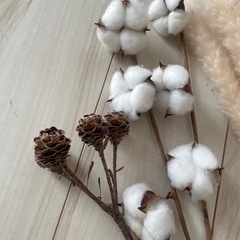 ドライフラワーまとめの画像