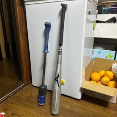 野球　カチカチバット　少年野球軟式用バット トレーニングバット　ミズノ