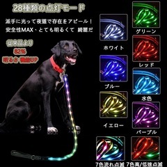 Nayouko 犬 リード 光るリード 夜散歩 ライト付きりーど 虹色発光 7色切替可 犬散歩用ライト 小型犬 中型犬 大型犬対応 USB充電式 Type-c 防水 安全ライト 犬用品 ペット用品 1.2mの画像