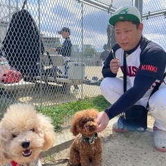 4月草野球！春に向けて新メンバー募集中！ − 大阪府