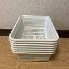 【受取者決定】セリア 角ザル  7ケースの画像