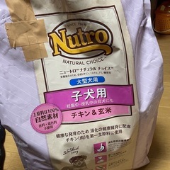 ニュートロ大型子犬15キロ穴あきあり
