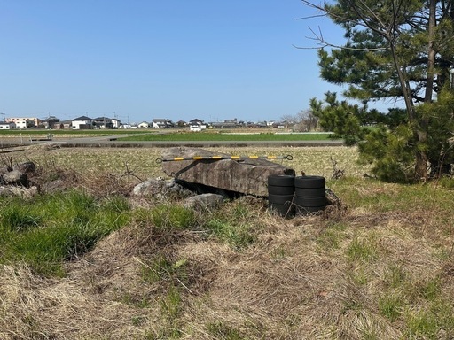 庭石