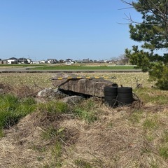 庭石の画像