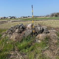 庭石