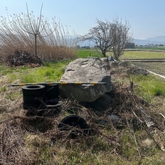 庭石の画像