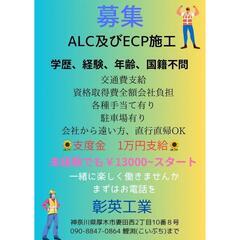 ＡＬＣ及びＥＣＰの画像