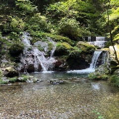 新緑の奥多摩を一緒に歩きませんか？5月ハイキング仲間募集