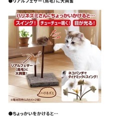 スイングチューチュー　猫　おもちゃの画像