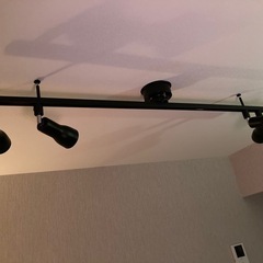 電球なし　ダクトレール　スポットライト　セット